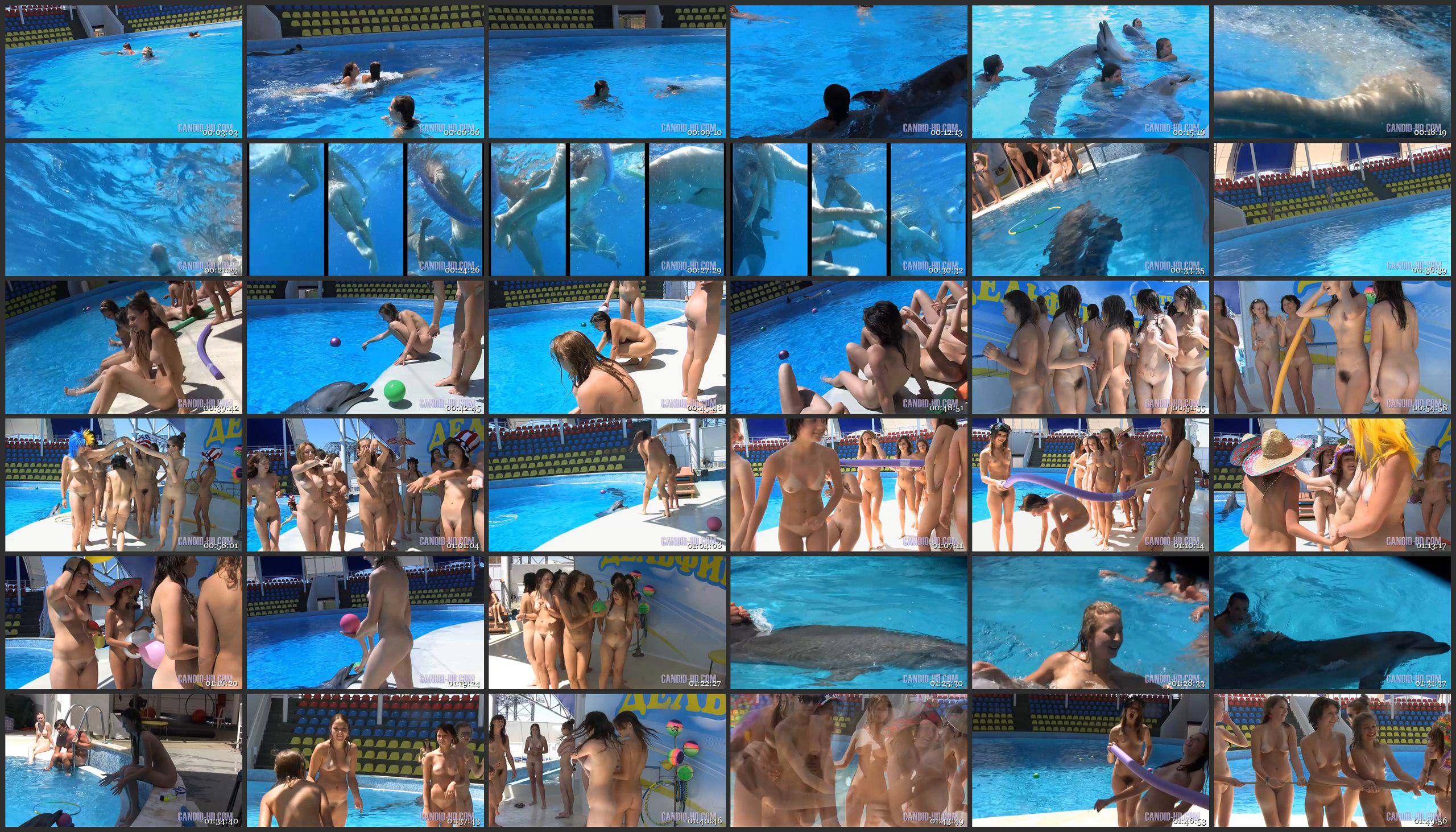 Candid-HD Videos Amazing Dolphin Encounter - Thumbnails