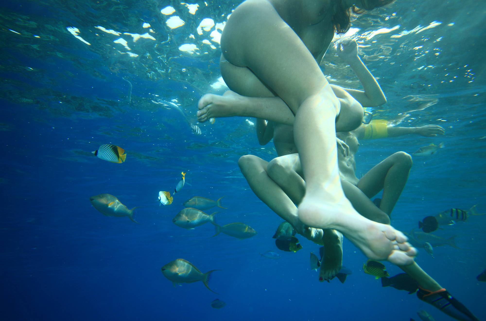 Egyptian Snorkelers Part - 1