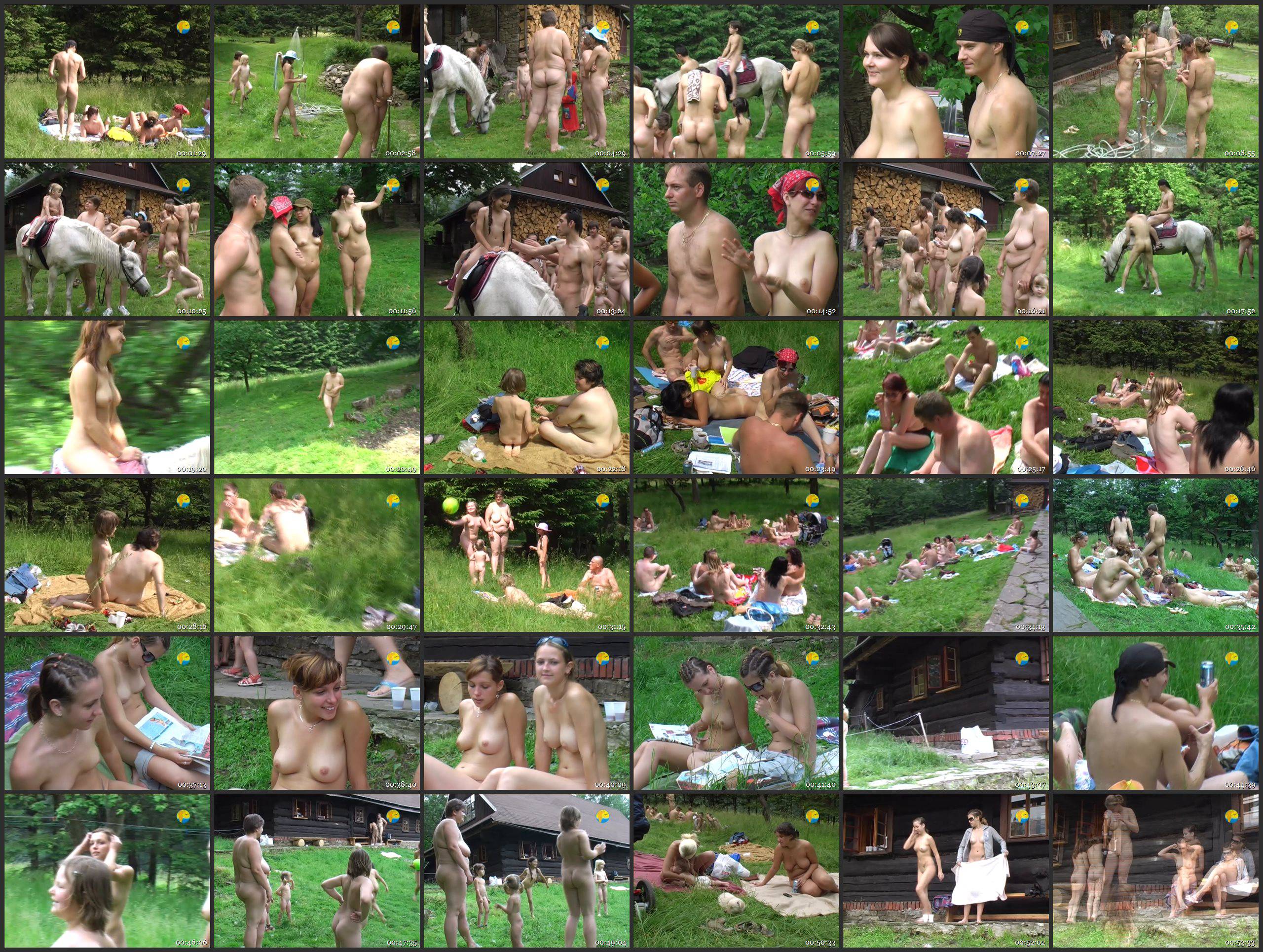 In the Sun - Thumbnails