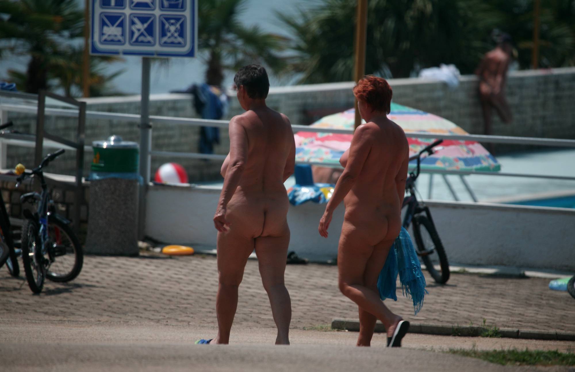 Purenudism Pics Nudist Sunny Day Friends - 1