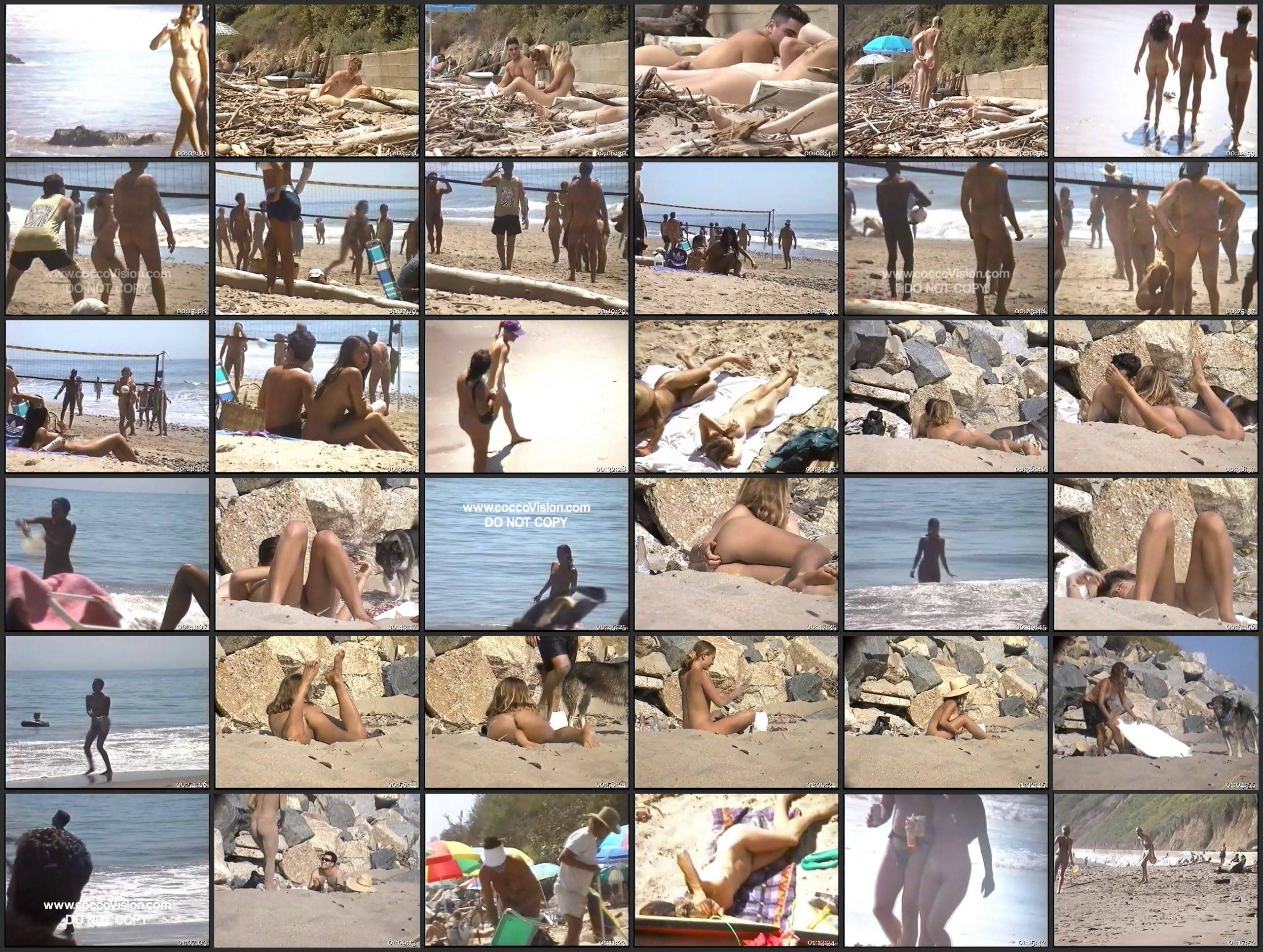 Other Nudist Videos Brads California Dreamers 1 - Thumbnails