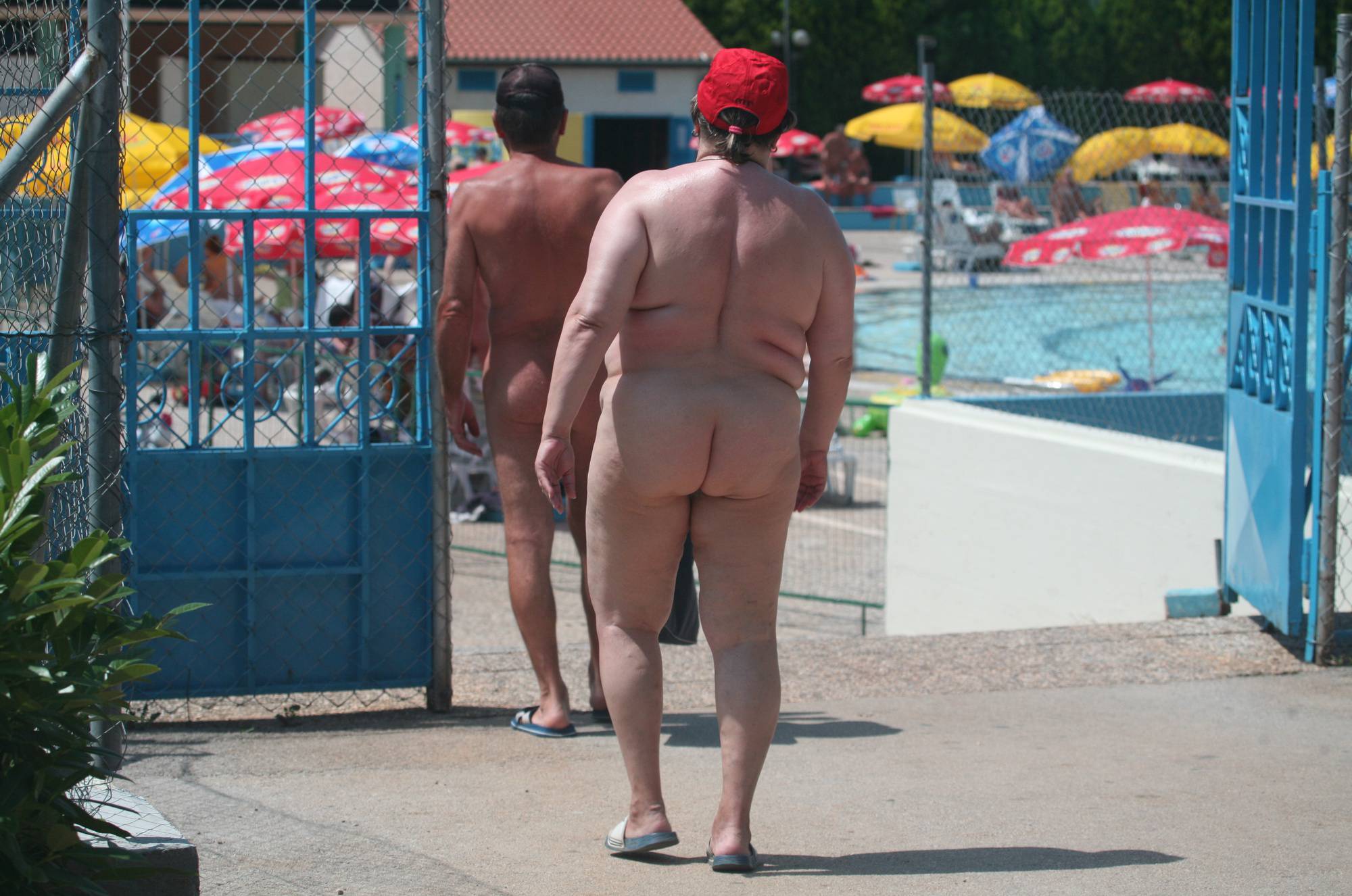 Purenudism Pics Nudist Pool Guests Enter - 1