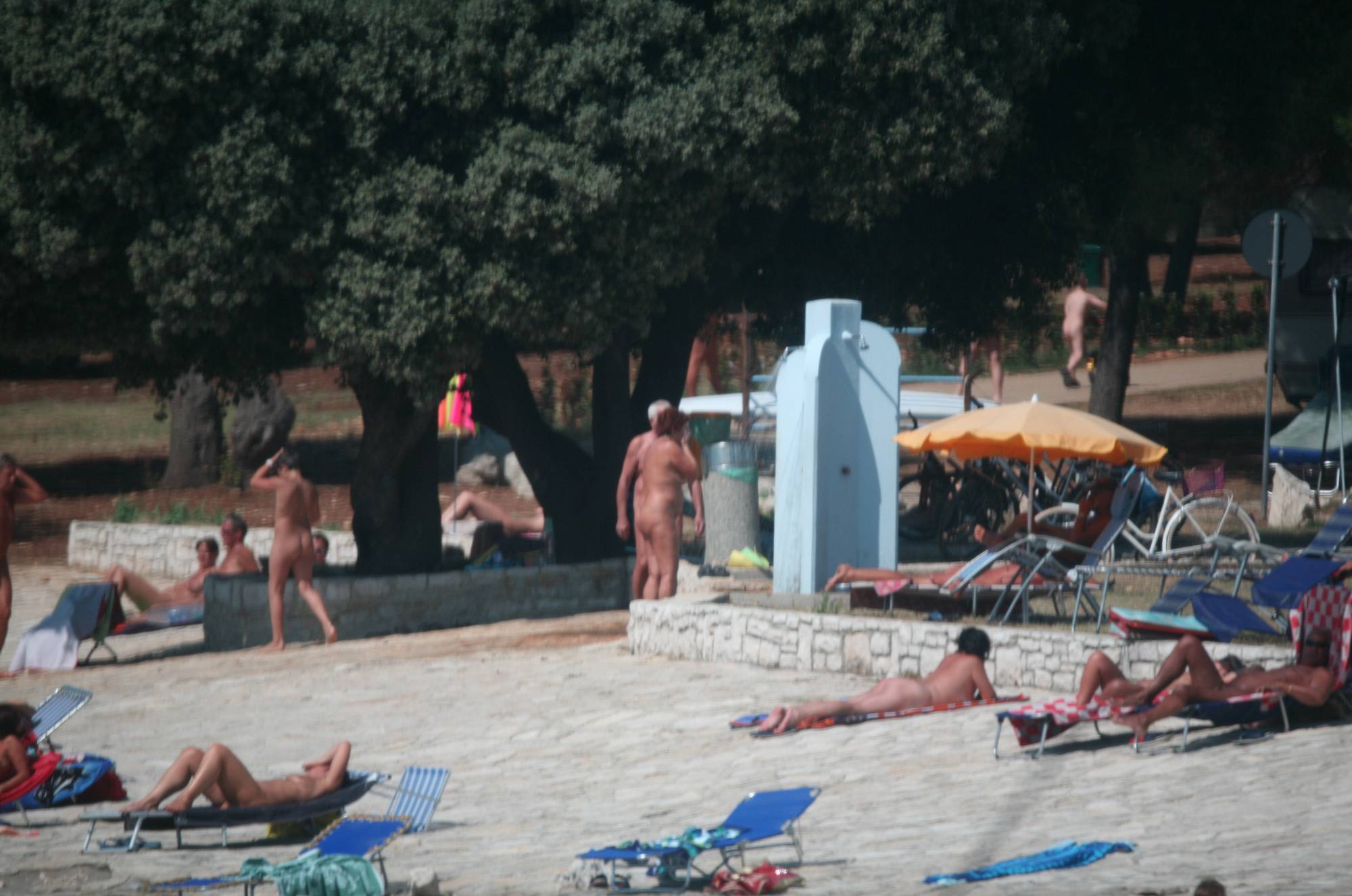Purenudism Pics Pier FKK Outdoor Shores - 1