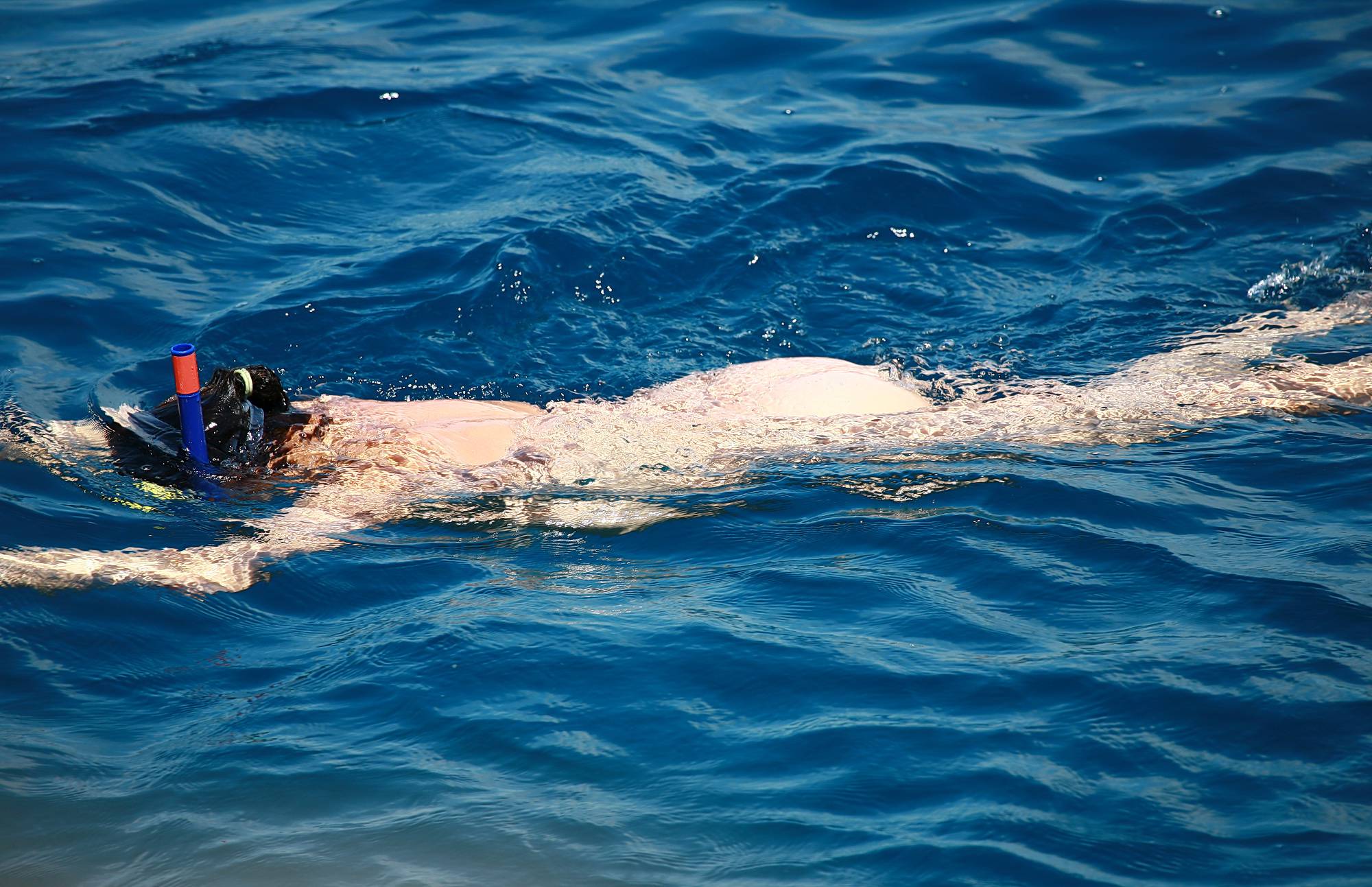 Purenudism Pics Snorkeling and Day Boats - 2