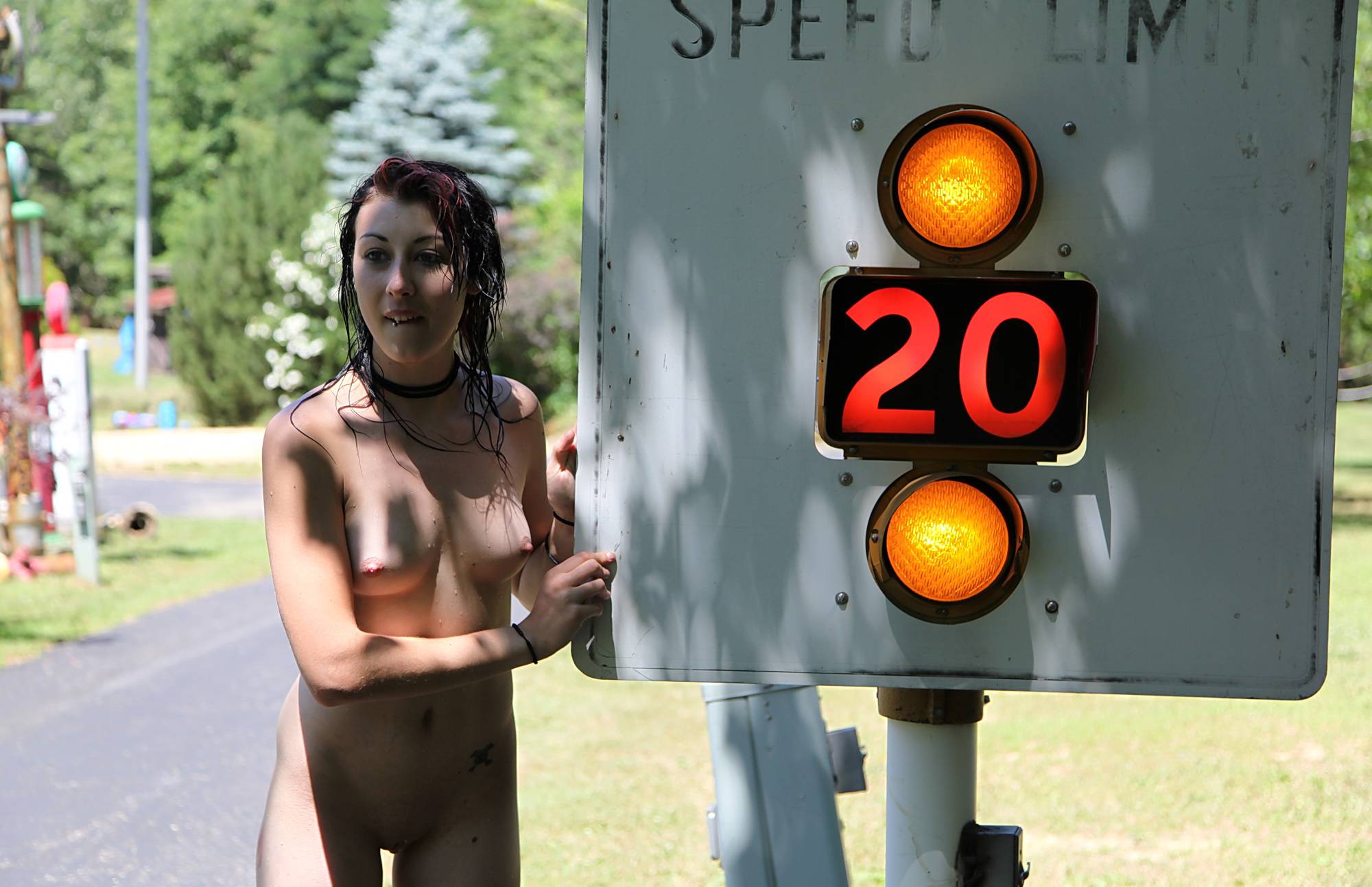 School Zone In the Park - 1