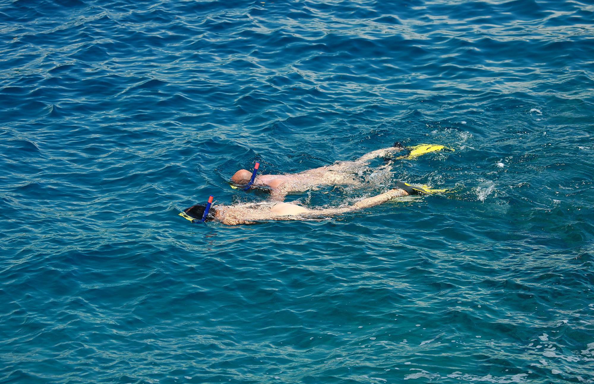 Snorkeling and Day Boats - 1