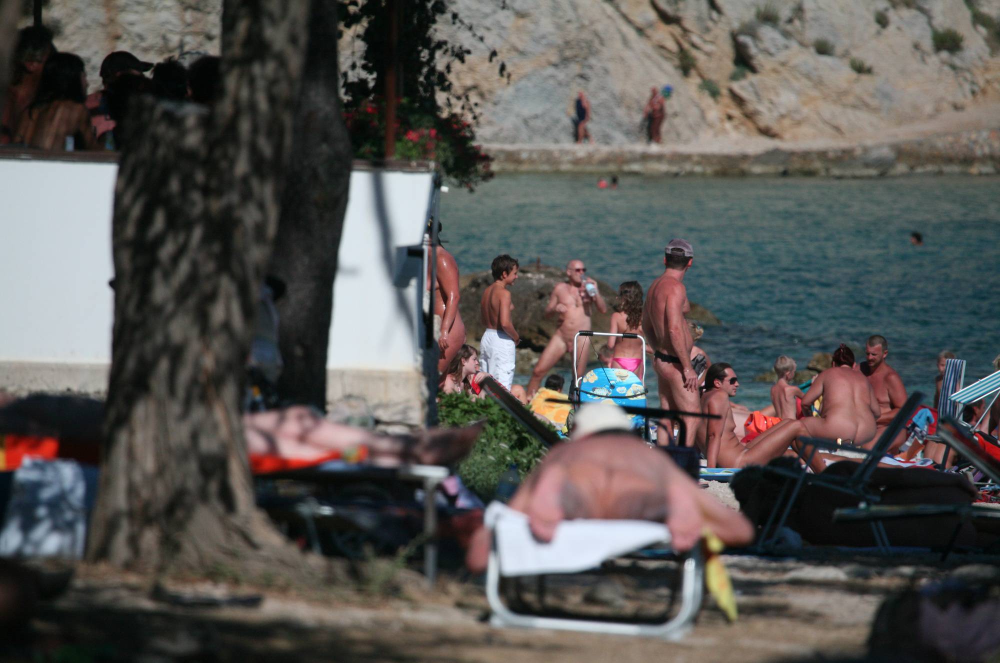 Sunnyside Beach Visitors - 1