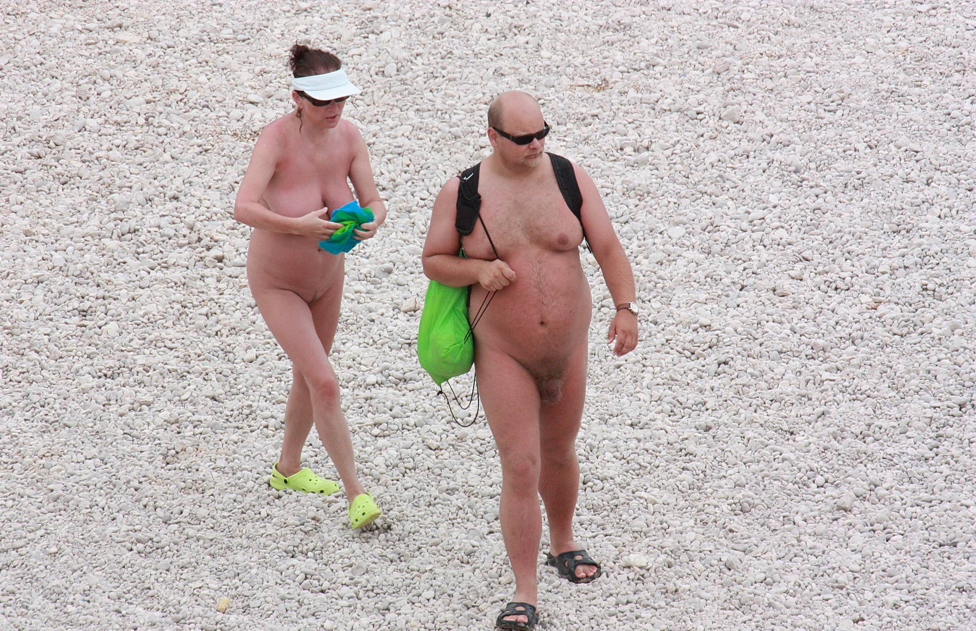Wandering Sand Walkers - 2